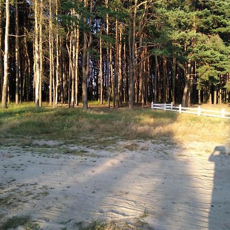 квартира в Шацьку Экстерьер фото